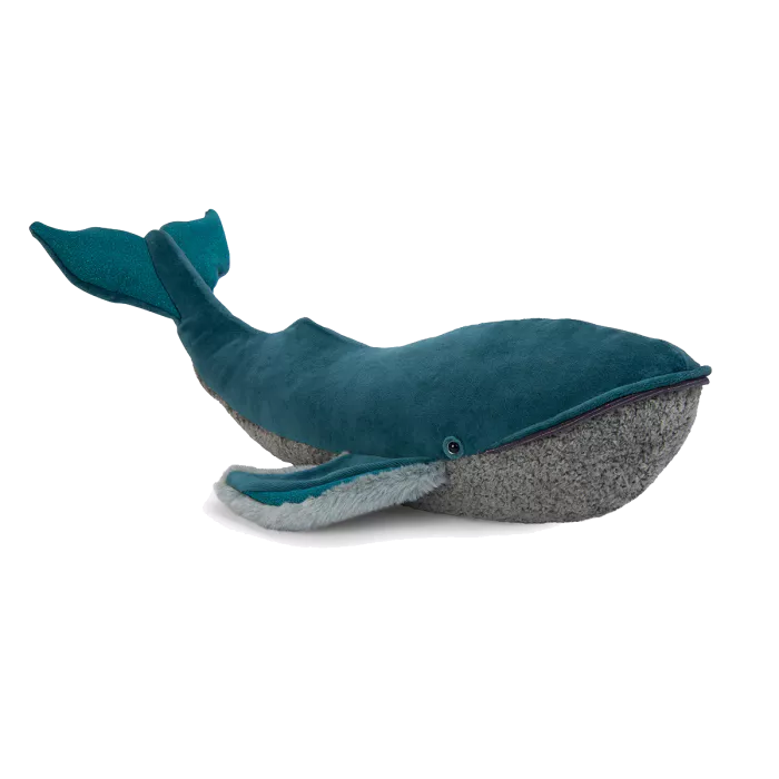 Grande baleine à  bosse