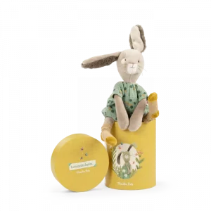 Poupée lapin sauge (en boîte)