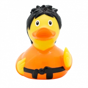 Canard Kung Fu