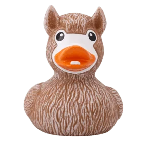Canard Lama
